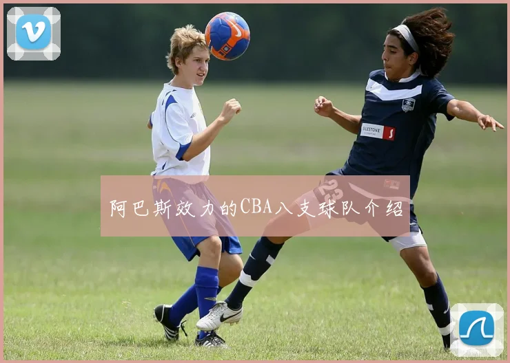 阿巴斯效力的CBA八支球队介绍