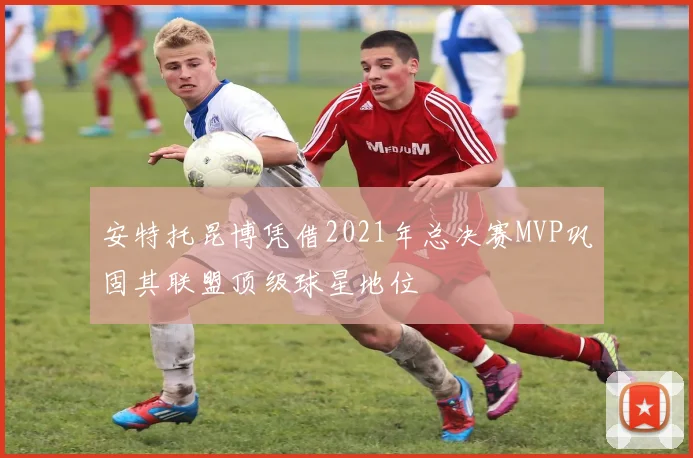 安特托昆博凭借2021年总决赛MVP巩固其联盟顶级球星地位