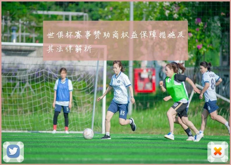 世俱杯赛事赞助商权益保障措施及其法律解析