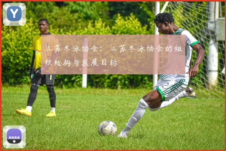 江苏冬泳协会：江苏冬泳协会的组织结构与发展目标