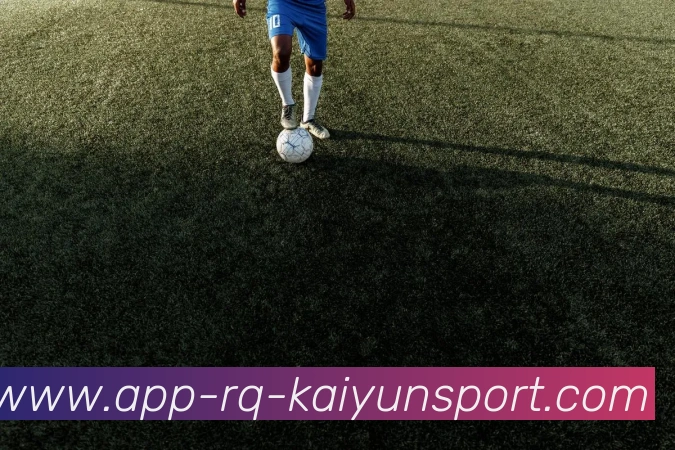 开云APP平台生态图