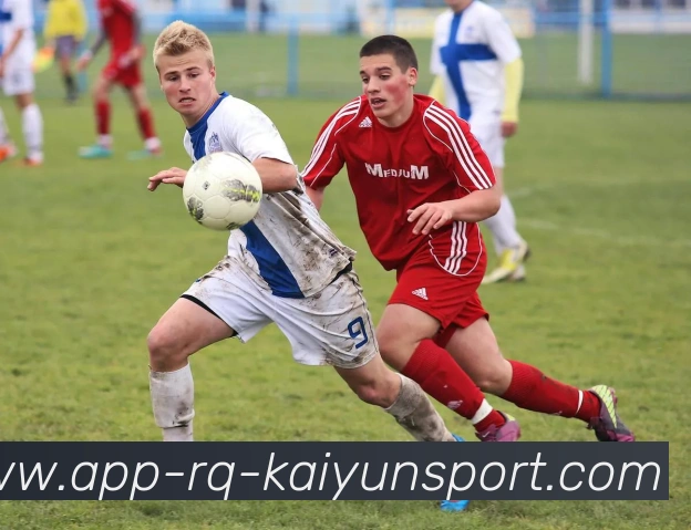 开云APP全站App 开云APP全站App